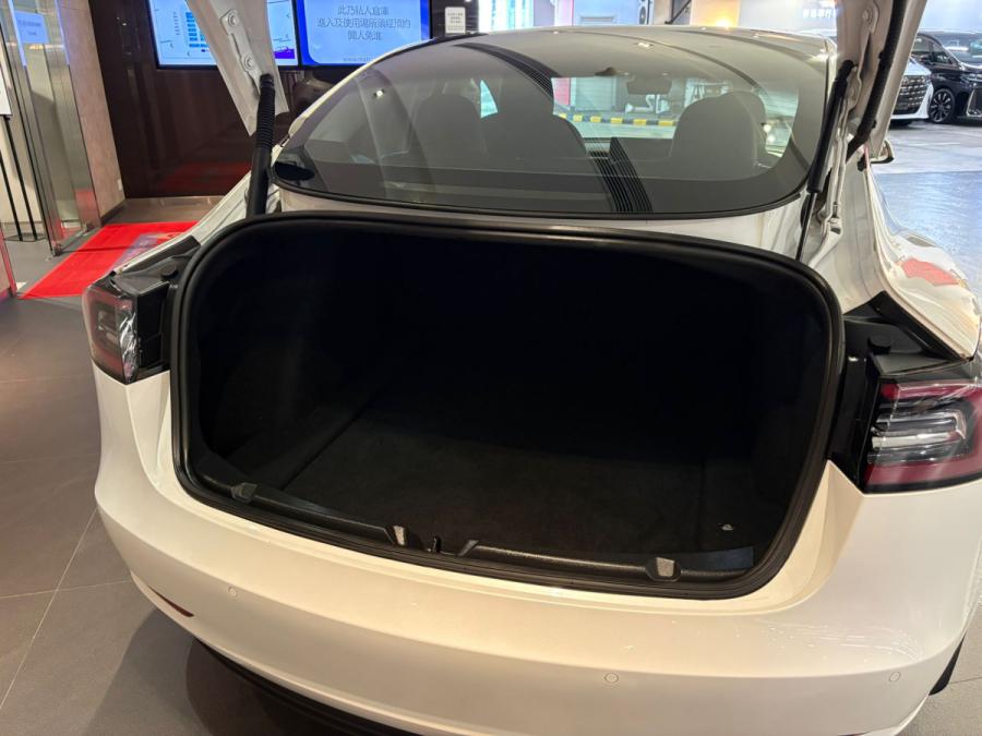 Model 3 Long Range - Image 5